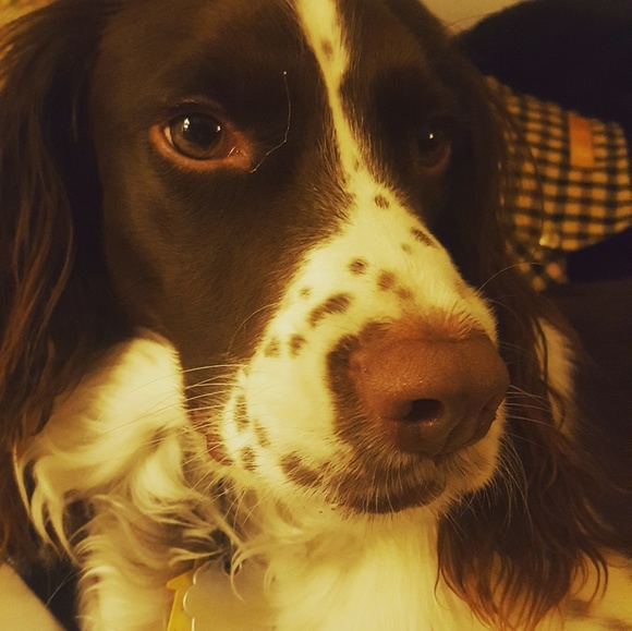 Meet your Posher, Bryn - Picture 1 of 1